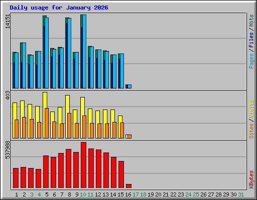 Daily usage for January 2026