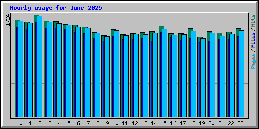 Hourly usage for June 2025