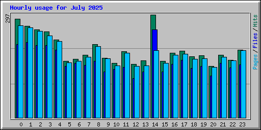 Hourly usage for July 2025