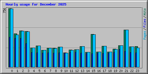 Hourly usage for December 2025