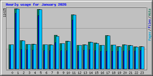 Hourly usage for January 2026
