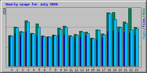 Hourly usage for July 2026